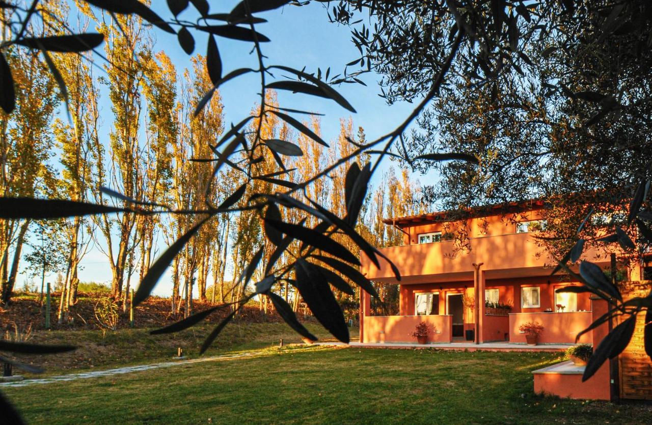 Tenuta Bussete Country Hotel วิแตร์โบ ภายนอก รูปภาพ
